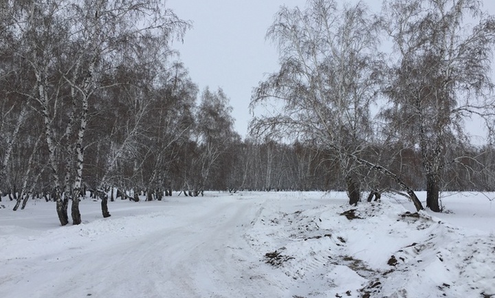 Земельные участки в Омске
