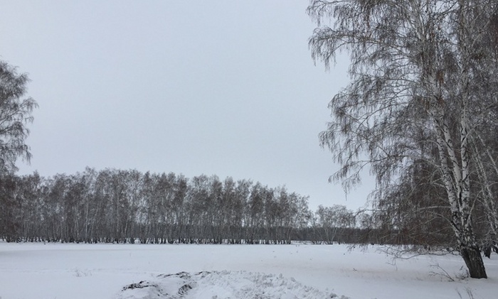 Земельные участки в Омске